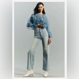 Maeve | Colette Cropped High Rise Wide Leg Sparkle Jeans | Size 33P